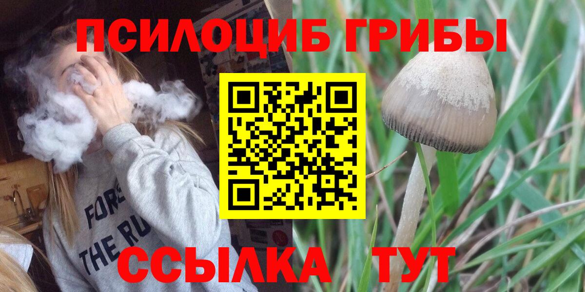 Галлюциногенные грибы мицелий  закладки  Сарапул  Вход с VPN 