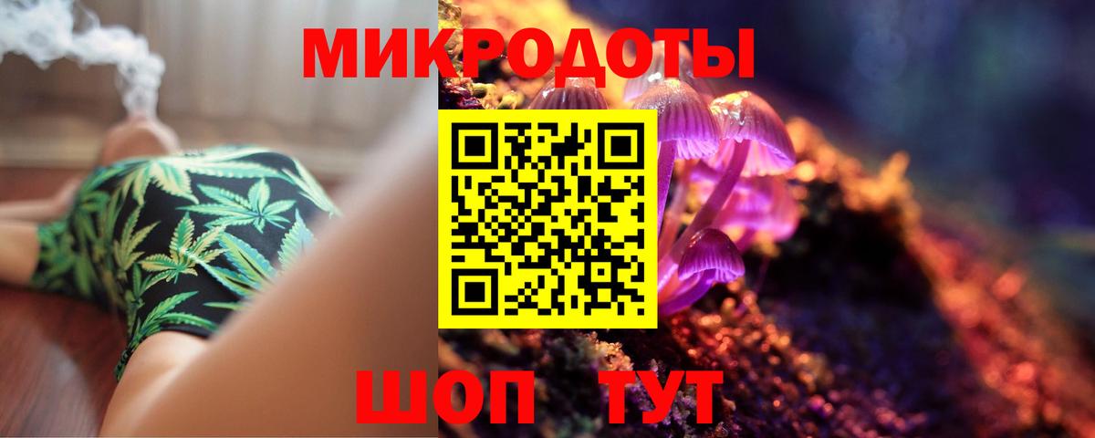 Псилоцибиновые грибы Psilocybe Сарапул